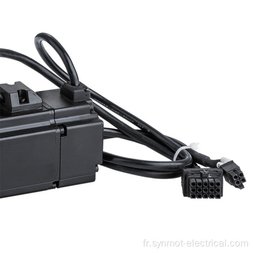 Synmot 220V Moteur d&#39;engrenage AC de 0,2 kW 300 RPM